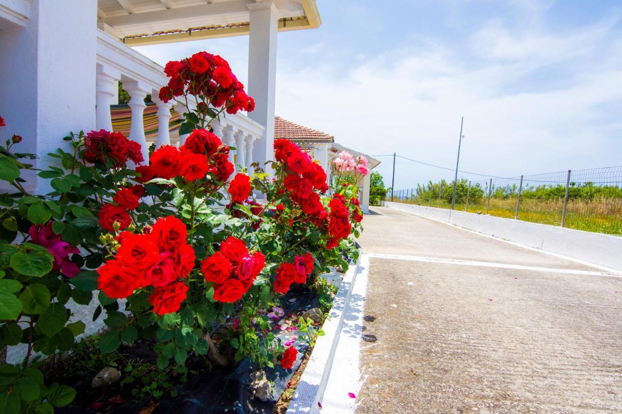 Serenity Apartments Agios Georgios  Buitenkant foto